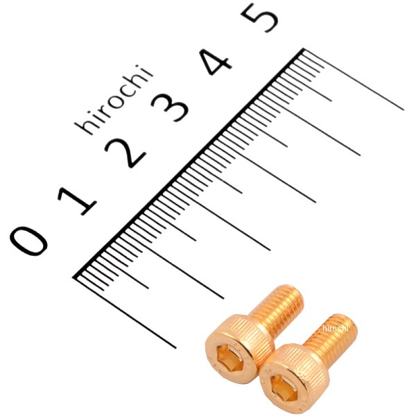 811710-010 ポッシュ POSH ステンレスキャップボルト 24Kメッキ M5X10 2本入り