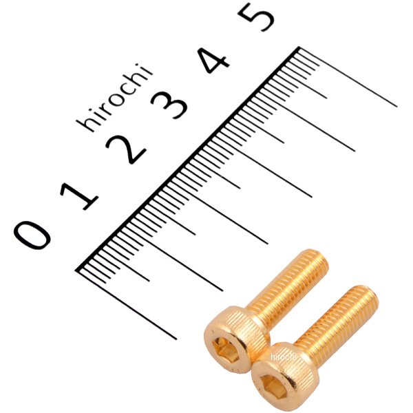 811710-016 ポッシュ POSH ステンレスキャップボルト 24Kメッキ M5X16 2本入り