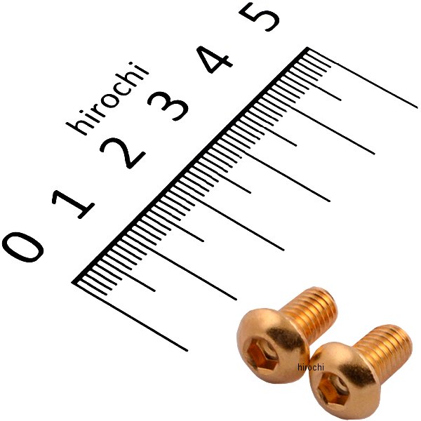 811820-010 ポッシュ POSH SUS304 六角穴付きボタンキャップボルト M6x10 P1.0 24Kメッキ