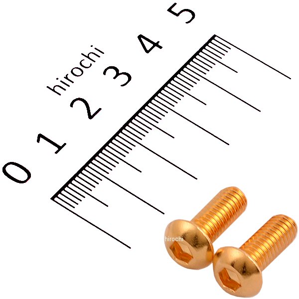 811820-015 ポッシュ POSH SUS304 六角穴付きボタンキャップボルト M6x15 P1.0 24Kメッキ