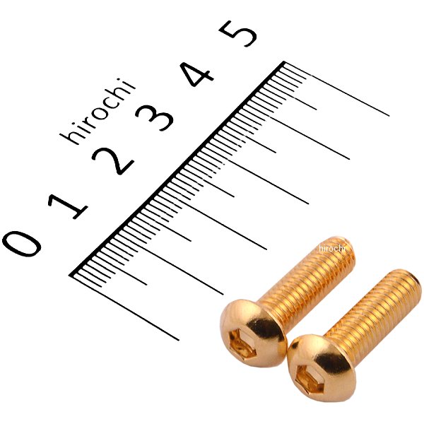 811820-020 ポッシュ POSH SUS304 六角穴付きボタンキャップボルト M6x20 P1.0 24Kメッキ