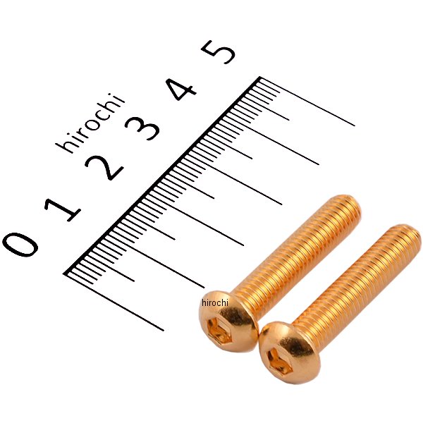 811820-030 ポッシュ POSH SUS304 六角穴付きボタンキャップボルト M6x30 P1.0 24Kメッキ