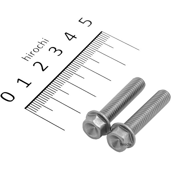 820750-028 ポッシュ POSH スモールフランジ六角ボルト ステンレス M6x28 P1.0 2本入り