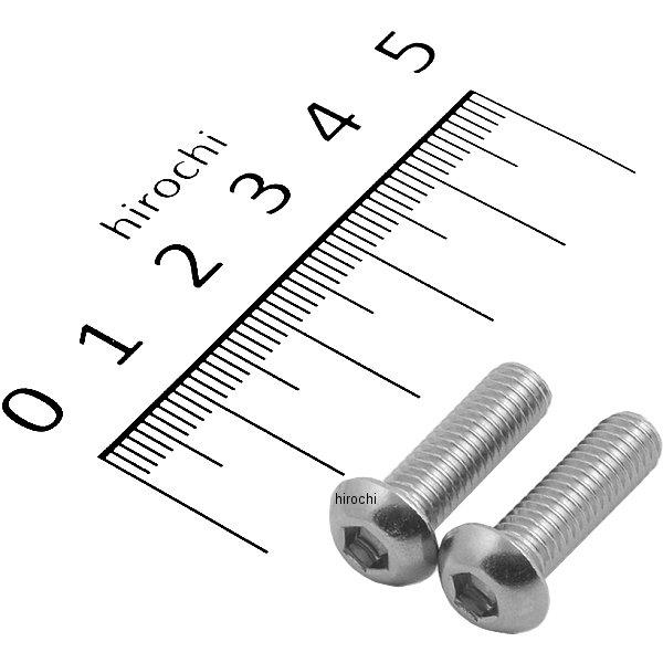 821820-020 ポッシュ POSH SUS304 六角穴付きボタンキャップボルト M6x20 P0.10 ステンレス 2個入り