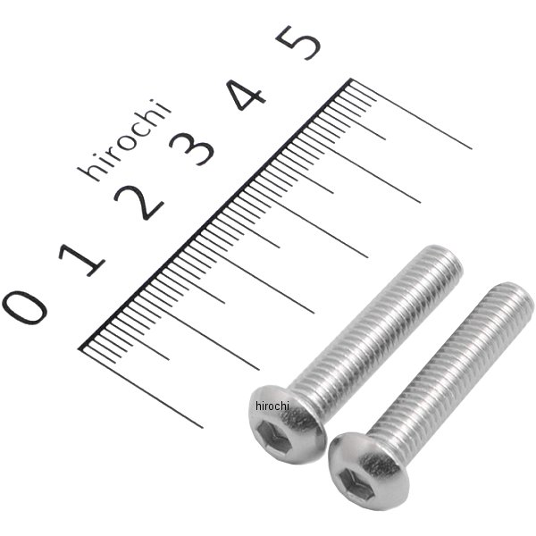 821820-030 ポッシュ POSH SUS304 六角穴付きボタンキャップボルト M6x30 P0.10 ステンレス 2個入り