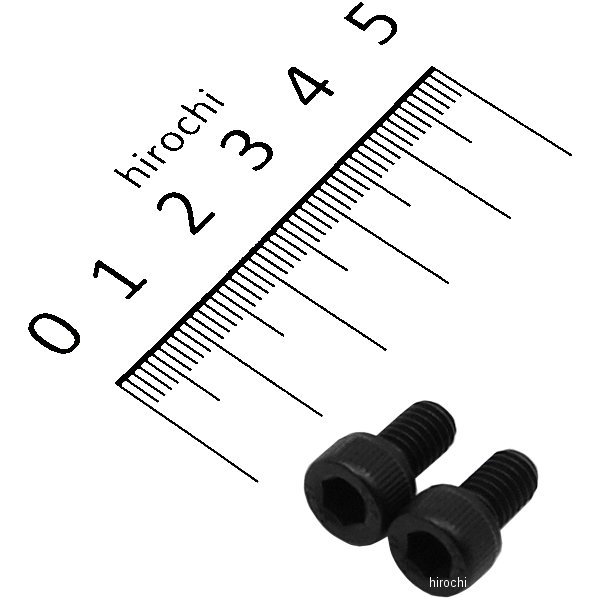 831640-010 ポッシュ POSH ステンレスキャップボルト STDタイプ M6x10 P1.0 2個入り 黒