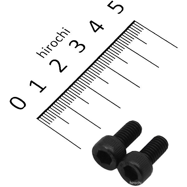 831640-012 ポッシュ POSH ステンレスキャップボルト STDタイプ M6x12 P1.0 2個入り 黒