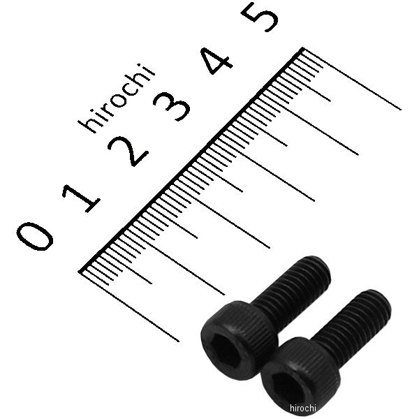 831640-015 ポッシュ POSH ステンレスキャップボルト STDタイプ M6x15 P1.0 2個入り 黒