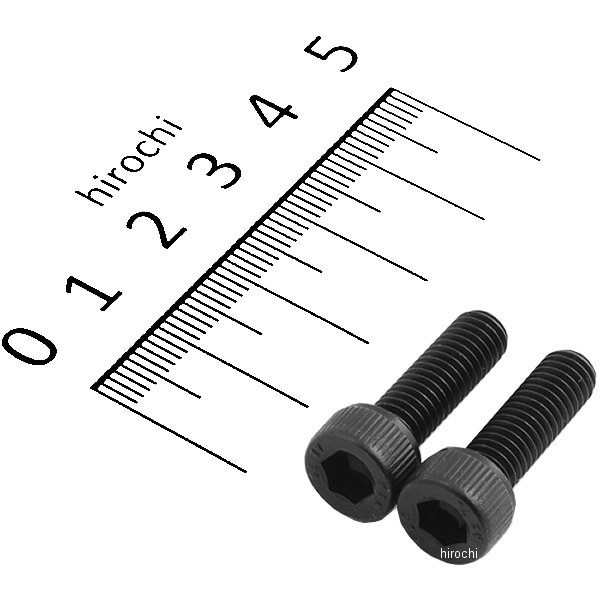 831640-020 ポッシュ POSH ステンレスキャップボルト STDタイプ M6x20 P1.0 2個入り 黒