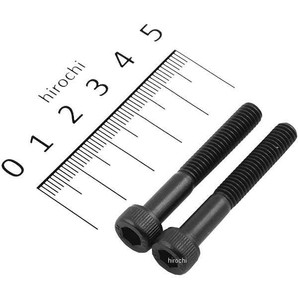 831640-040 ポッシュ POSH ステンレスキャップボルト STDタイプ M6x40 P1.0 2個入り 黒