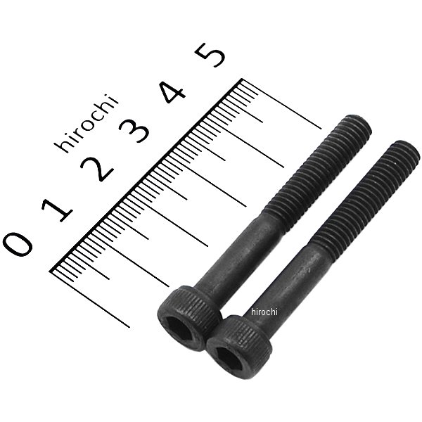 831640-045 ポッシュ POSH ステンレスキャップボルト STDタイプ M6x45 P1.0 2個入り 黒