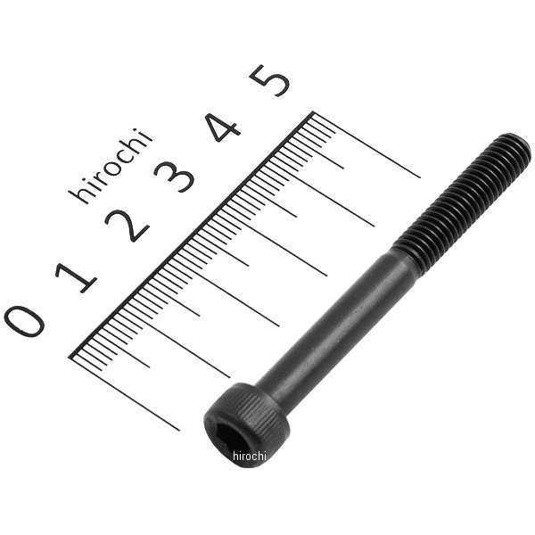 831640-055 ポッシュ POSH ステンレスキャップボルト STDタイプ M6x55 P1.0 1個入り 黒