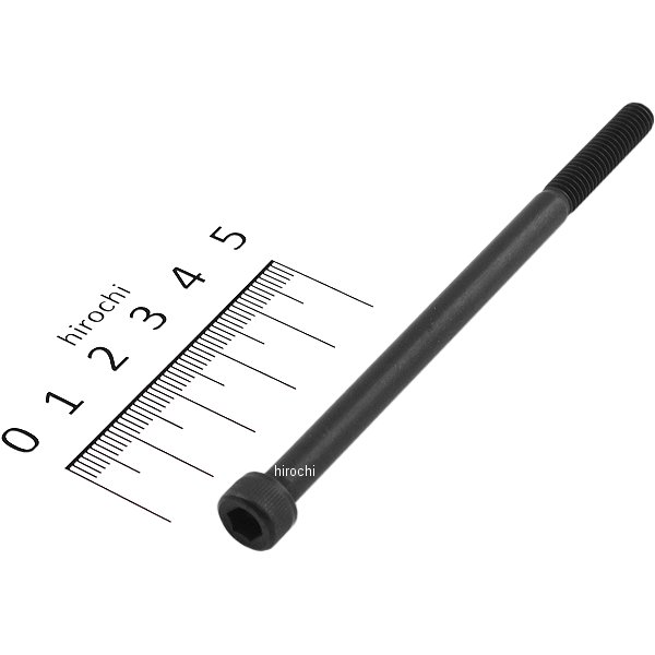 831640-100 ポッシュ POSH ステンレスキャップボルト STDタイプ M6x100 P1.0 1個入り 黒