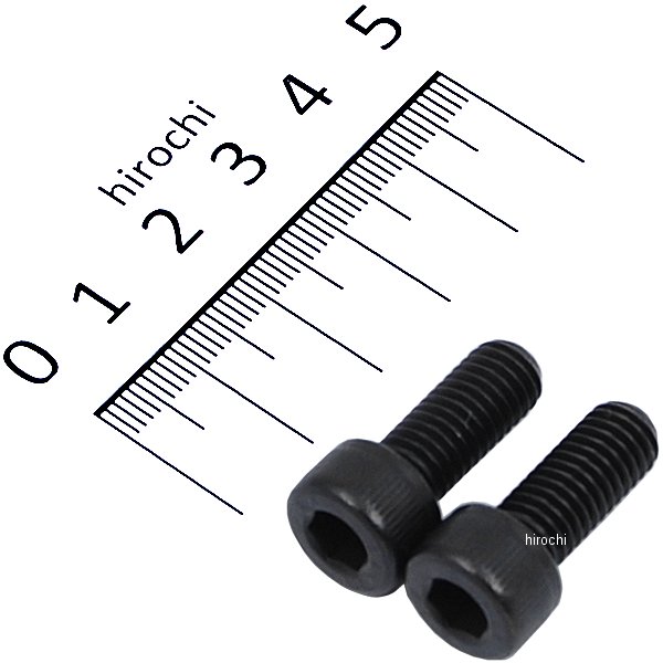 831650-020 ポッシュ POSH ステンレスキャップボルト STDタイプ M8x20 P1.25 2個入り 黒