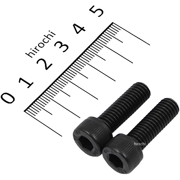 831650-025 ポッシュ POSH ステンレスキャップボルト STDタイプ M8x25 P1.25 2個入り 黒