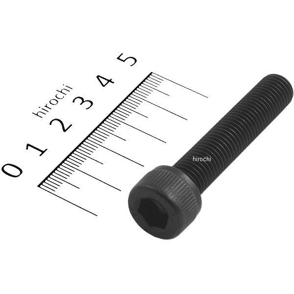 831660-050 ポッシュ POSH ステンレスキャップボルト STDタイプ M10x50 P1.25 1個入り 黒