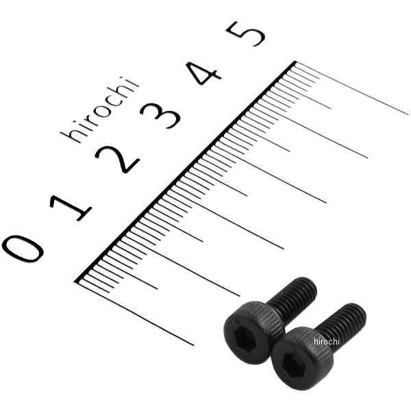 831700-010 ポッシュ POSH ステンレスキャップボルト STDタイプ M4x10 P0.7 2個入り 黒