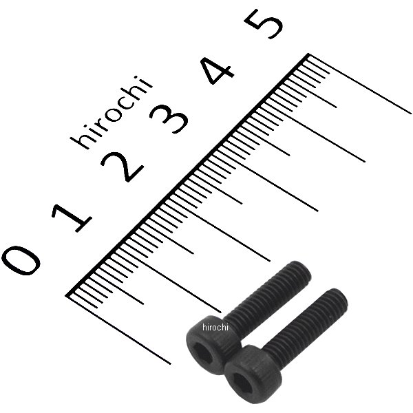 831700-015 ポッシュ POSH ステンレスキャップボルト STDタイプ M4x15 P0.7 2個入り 黒