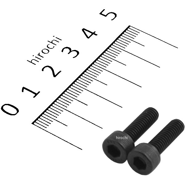 831710-016 ポッシュ POSH ステンレスキャップボルト STDタイプ M5x16 P0.8 2個入り 黒