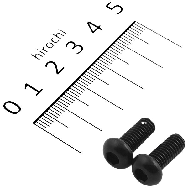 831820-015 ポッシュ POSH SUS304 六角穴付ボタンキャップボルト 汎用 M6x15 P1.00 黒 ステンレス 2本入り