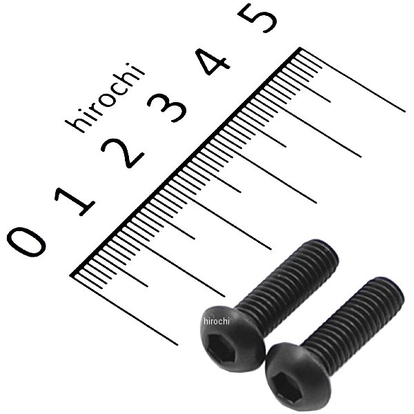 831820-020 ポッシュ POSH SUS304 六角穴付ボタンキャップボルト 汎用 M6x20 P1.00 黒 ステンレス 2本入り