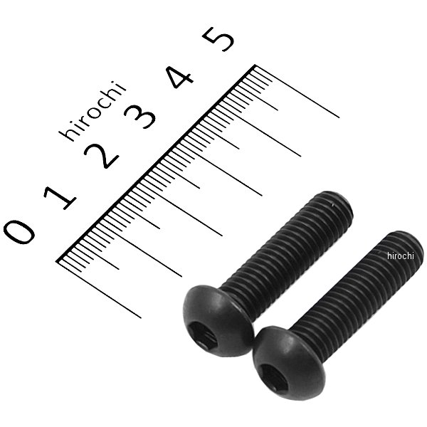 831830-030 ポッシュ POSH SUS304 六角穴付ボタンキャップボルト 汎用 M8x30 P1.25 黒 ステンレス 2本入り