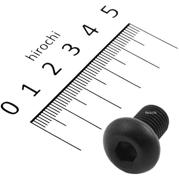 831840-015 ポッシュ POSH SUS304 六角穴付ボタンキャップボルト 汎用 M10x15 P1.25 黒 ステンレス 1本入り