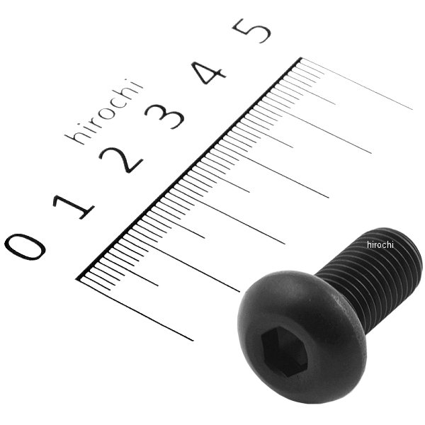 831840-020 ポッシュ POSH SUS304 六角穴付ボタンキャップボルト 汎用 M10x20 P1.25 黒 ステンレス 1本入り