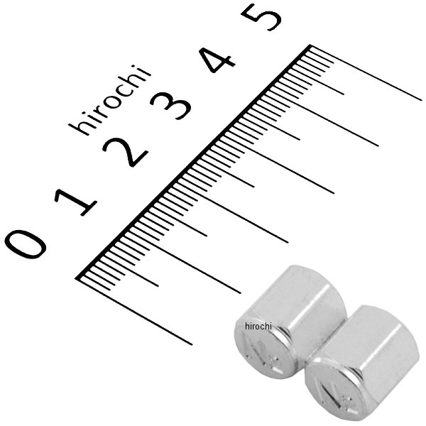 9060 NBS バイクパーツセンター エアバルブキャップ N2 汎用 2個入り