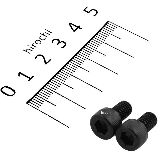 900610-K2 ポッシュ POSH キャップボルトセット 汎用 M6x10mm ステンレス 2本入り 黒