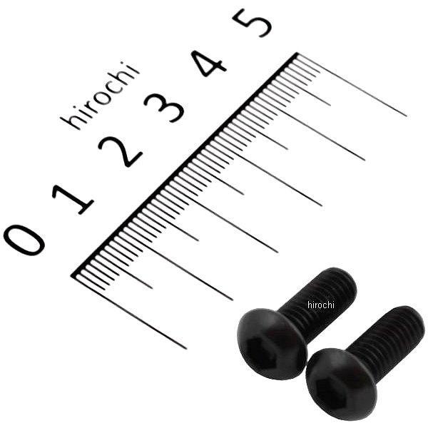 900615-B9 ポッシュ POSH ボタンキャップボルトセット 汎用 M6x15 ステンレス 2本入り 黒