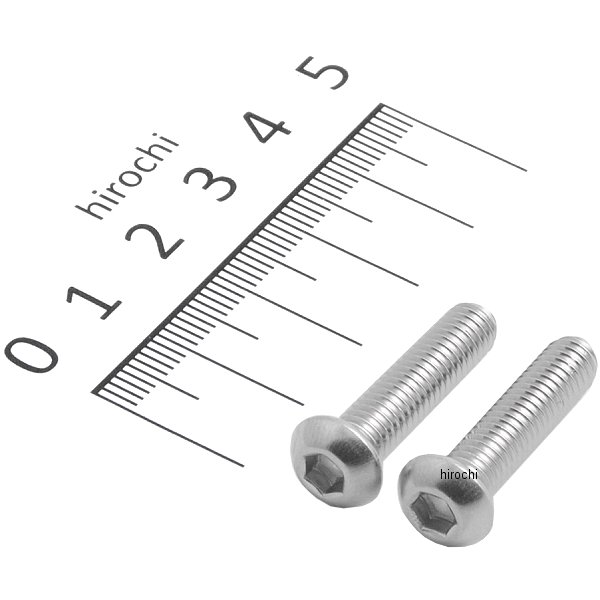 900625-B2 ポッシュ POSH ボタンキャップボルトセット 汎用 M6x25mm ステンレス 2本入り