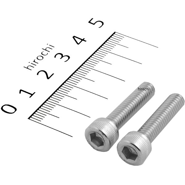 900625-S2 ポッシュ POSH キャップボルトセット 汎用 M6x25mm ステンレス 2本入り