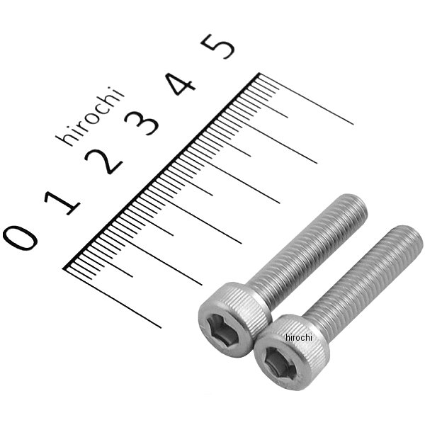 900628-S2 ポッシュ POSH キャップボルトセット 汎用 M6x28mm ステンレス 2本入り