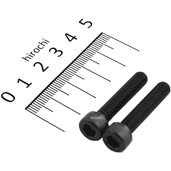 900630-K2 ポッシュ POSH キャップボルトセット 汎用 M6x30mm ステンレス 2本入り 黒