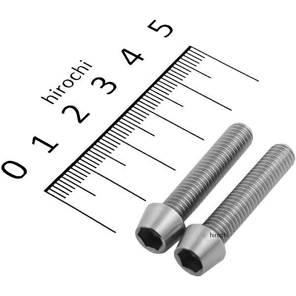 900630-T2 ポッシュ POSH テーパーキャップボルトセット 汎用 M6x30mm ステンレス 2本入り