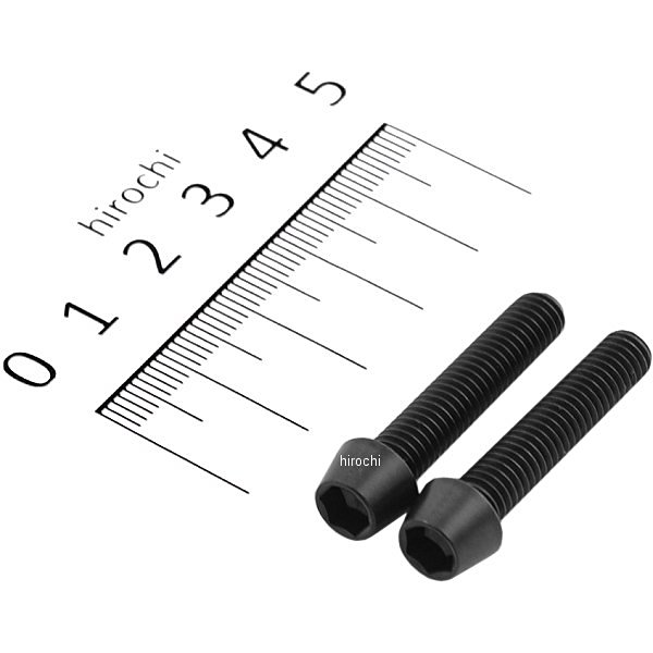 900630-T9 ポッシュ POSH テーパーキャップボルトセット 汎用 M6x30mm P-1.0 ステンレス 2本入り 黒