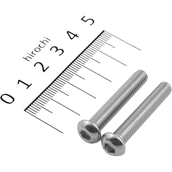 900635-B2 ポッシュ POSH ボタンキャップボルトセット 汎用 M6x35mm ステンレス 2本入り