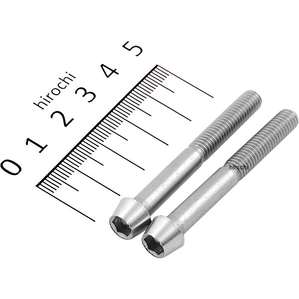 900650-T2 ポッシュ POSH テーパーキャップボルトセット 汎用 M6x50mm ステンレス 2本入り