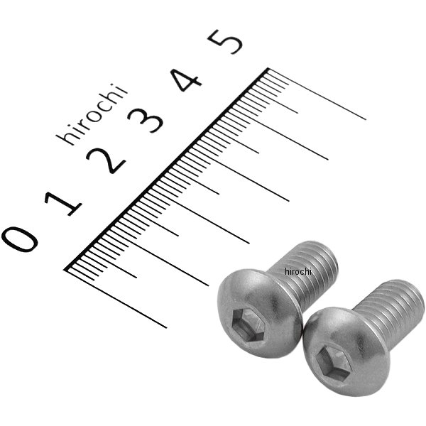 900815-B2 ポッシュ POSH ボタンキャップボルトセット 汎用 M8x15mm ステンレス 2本入り