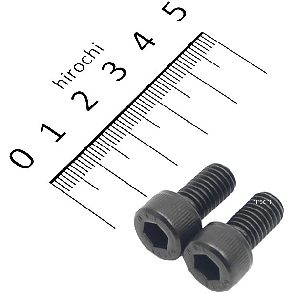 900815-K2 ポッシュ POSH キャップボルトセット 汎用 M8x15mm ステンレス 2本入り 黒