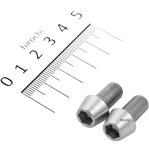 900815-T2 ポッシュ POSH テーパーキャップボルトセット 汎用 M8x15mm ステンレス 2本入り