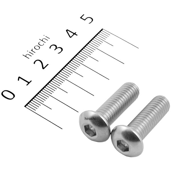 900825-B2 ポッシュ POSH ボタンキャップボルトセット 汎用 M8x25mm ステンレス 2本入り