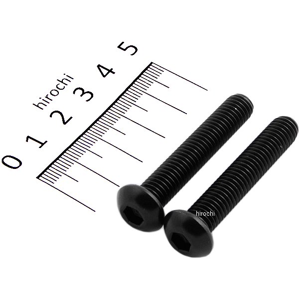 900845-B9 ポッシュ POSH ボタンキャップボルトセット 汎用 M8x45mm ステンレス 2本入り 黒