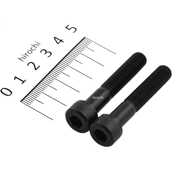 900845-K2 ポッシュ POSH キャップボルトセット 汎用 M8x45mm ステンレス 2本入り 黒