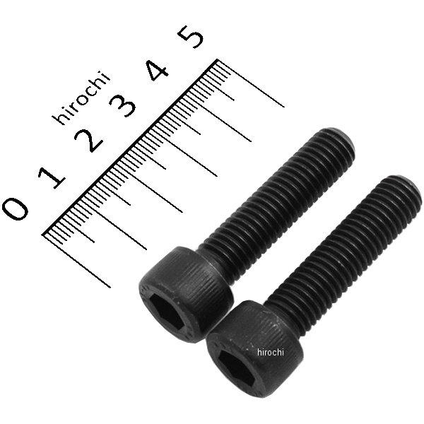 901040-K2 ポッシュ POSH ステンレスブラックキャップボルト M10X40 P1.5 黒 2個入り