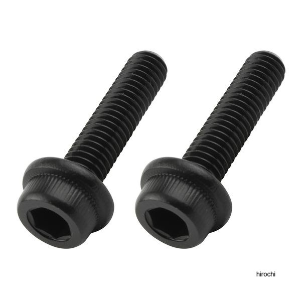 ポッシュ POSHフランジキャップボルト ステンレス/ブラック 2本入 M6X25mm P-1.0