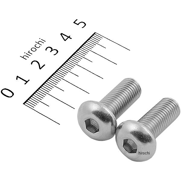 911025-B2 ポッシュ POSH ボタンキャップボルトセット 汎用 M10x25mm P1.25 ステンレス 2本入り