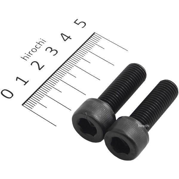 911030-K2 ポッシュ POSH ステンレスブラックキャップボルトM10X30 P1.25 黒 2個入り
