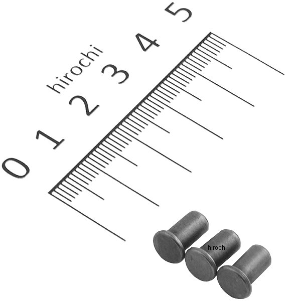 91437 デイトナ ガイドローラーピン アドレスV125